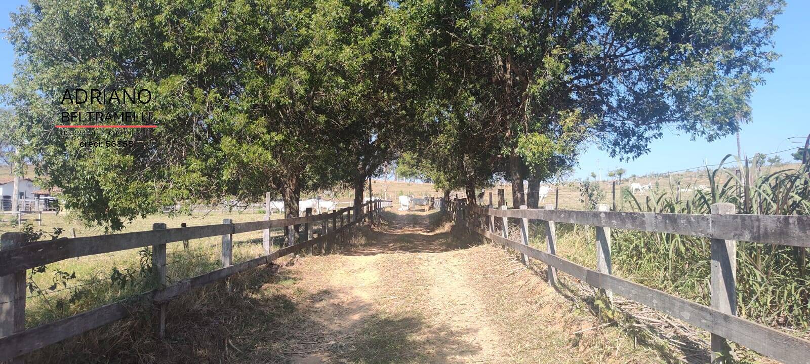 Fazenda à venda com 10 quartos, 4000m² - Foto 36