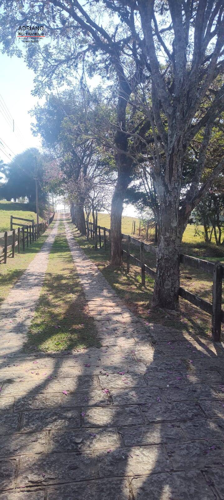 Fazenda à venda com 10 quartos, 4000m² - Foto 37