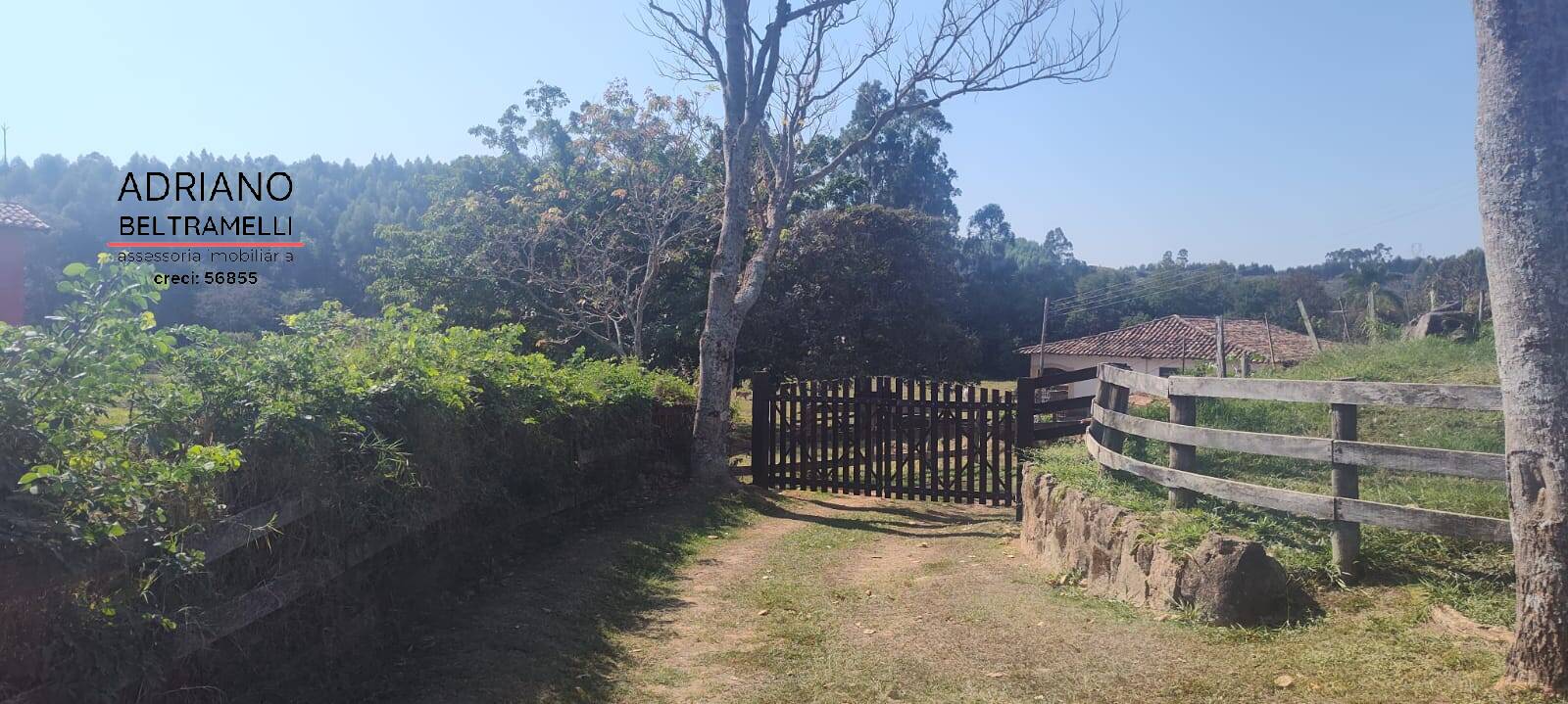 Fazenda à venda com 10 quartos, 4000m² - Foto 40