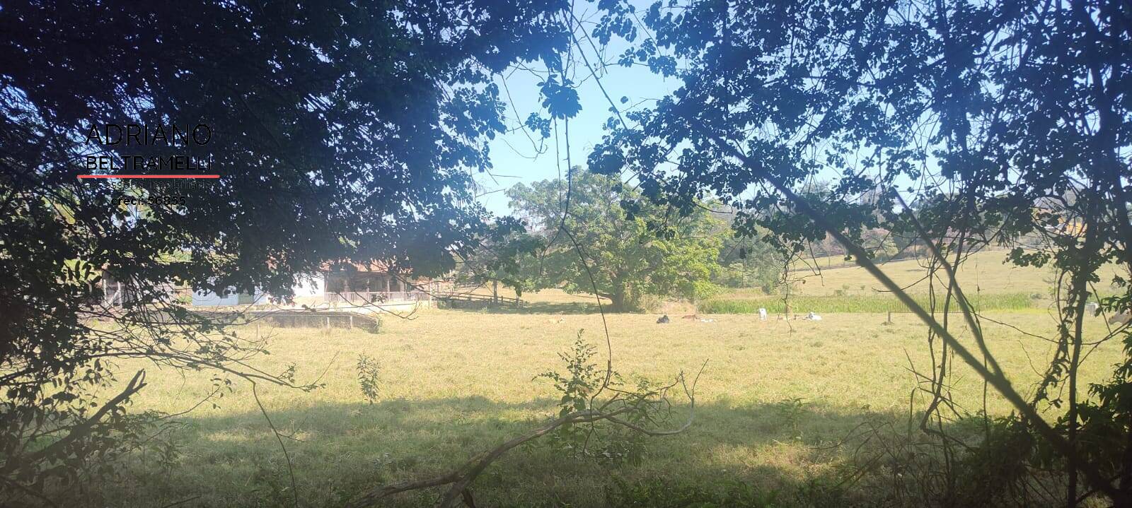 Fazenda à venda com 10 quartos, 4000m² - Foto 39