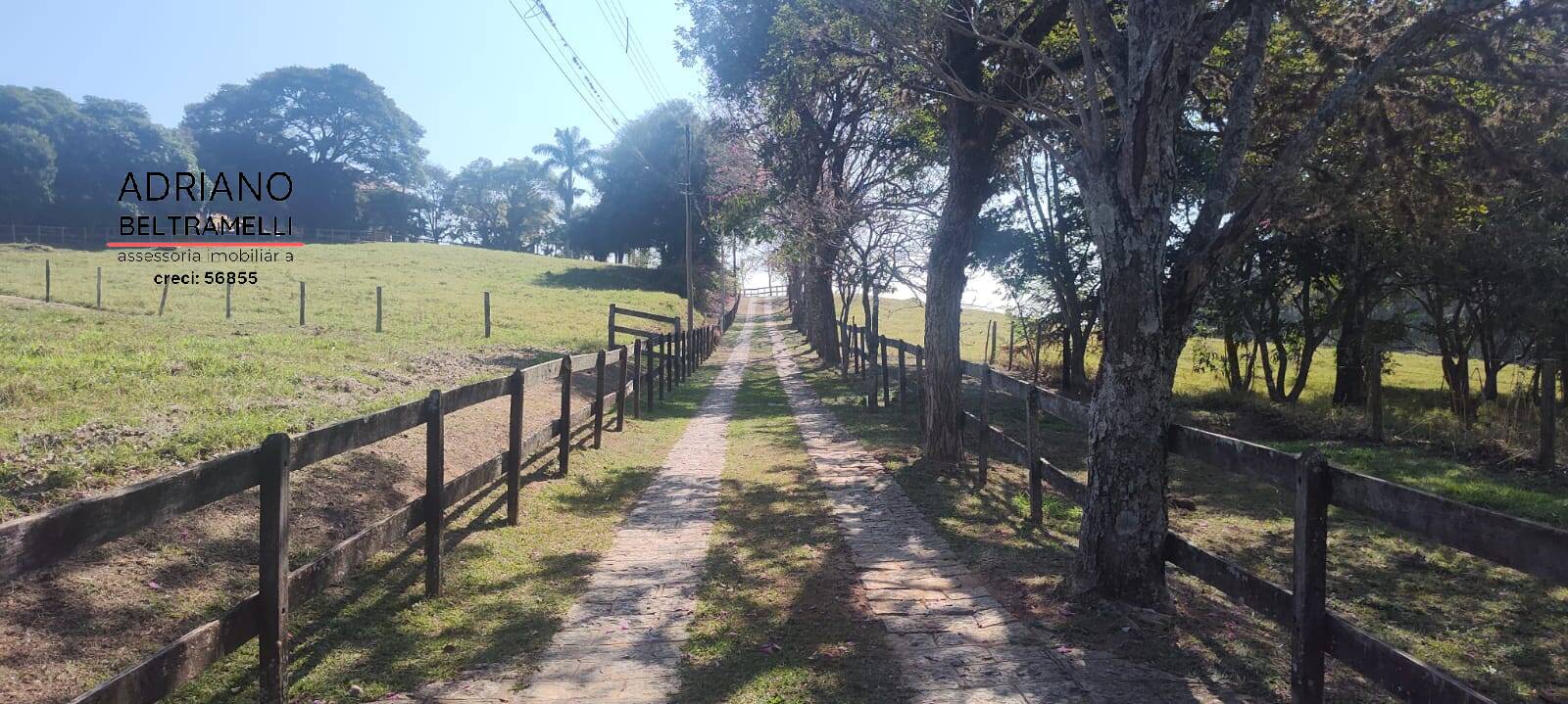 Fazenda à venda com 10 quartos, 4000m² - Foto 43