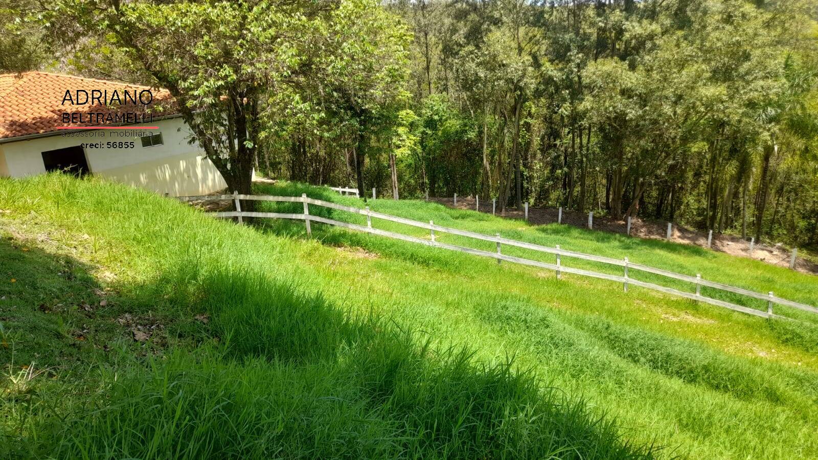 Fazenda à venda com 3 quartos, 30000m² - Foto 21