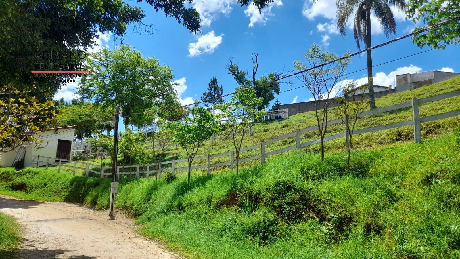 Fazenda à venda com 3 quartos, 30000m² - Foto 22