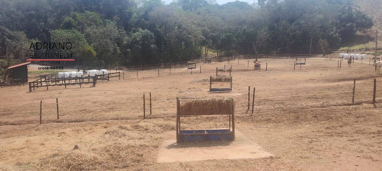 Fazenda à venda com 5 quartos, 200000m² - Foto 21