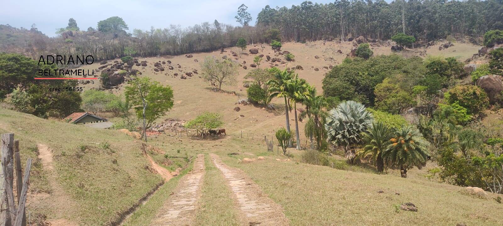 Fazenda à venda com 5 quartos, 86250m² - Foto 48