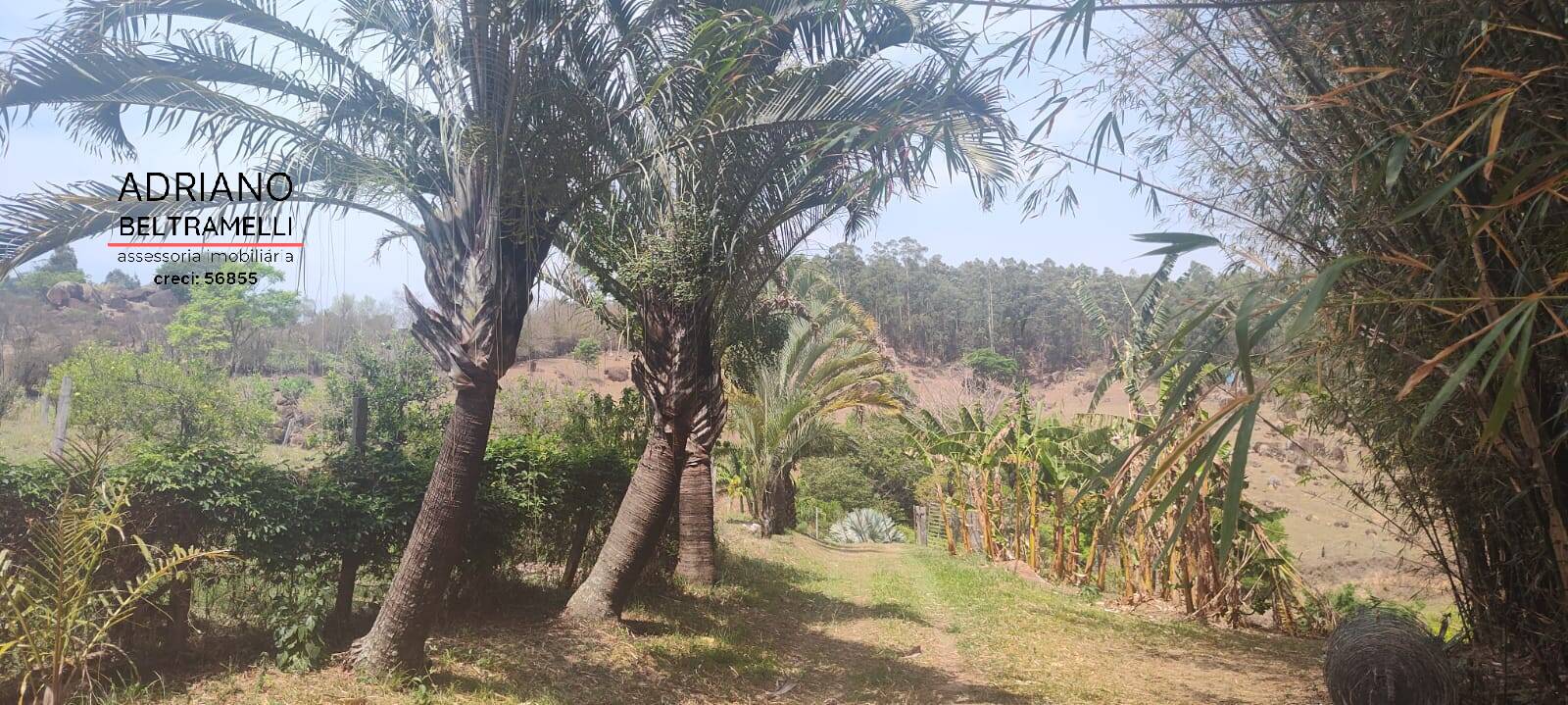 Fazenda à venda com 5 quartos, 86250m² - Foto 51