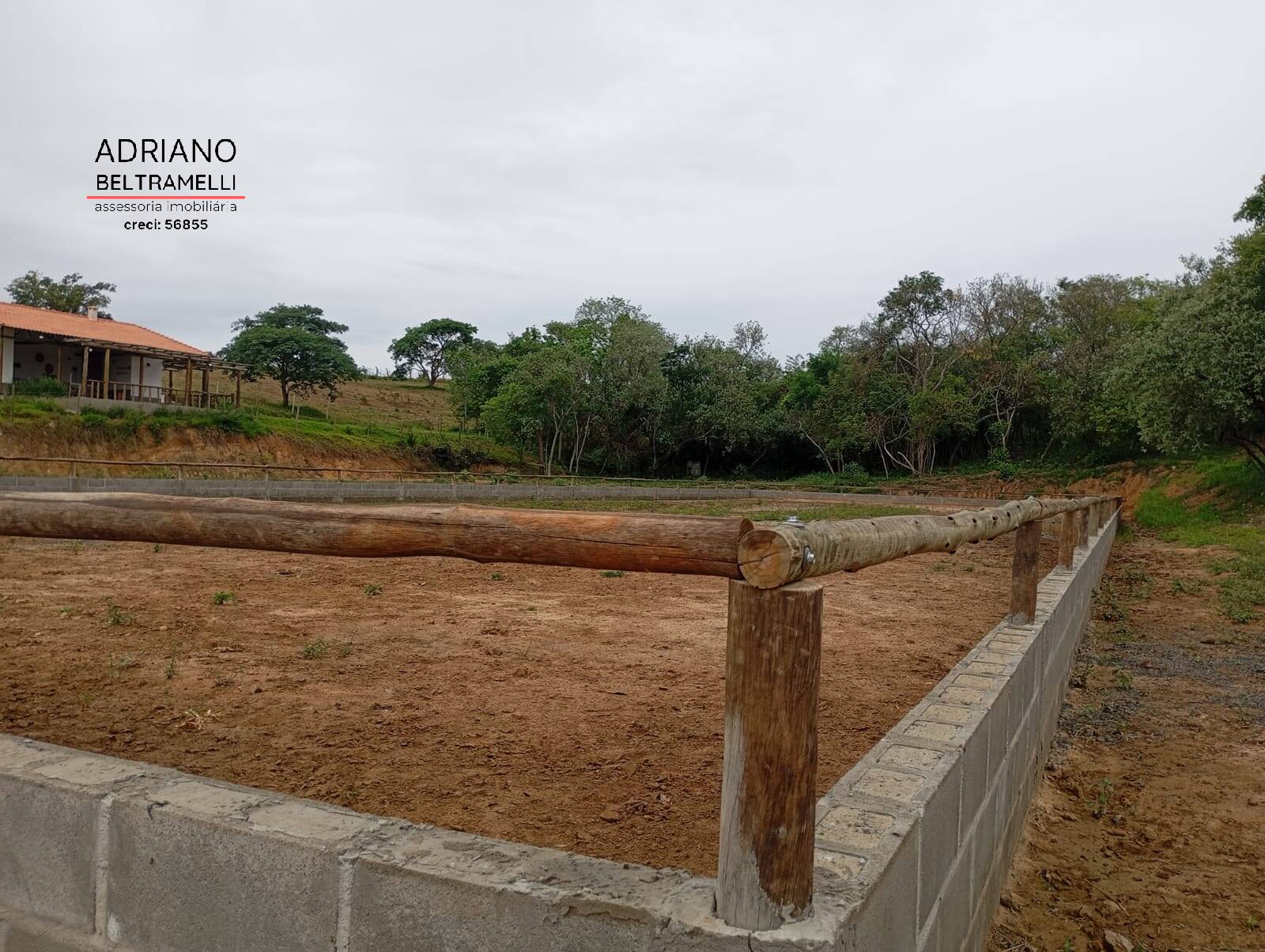 Fazenda à venda com 2 quartos, 65340m² - Foto 4