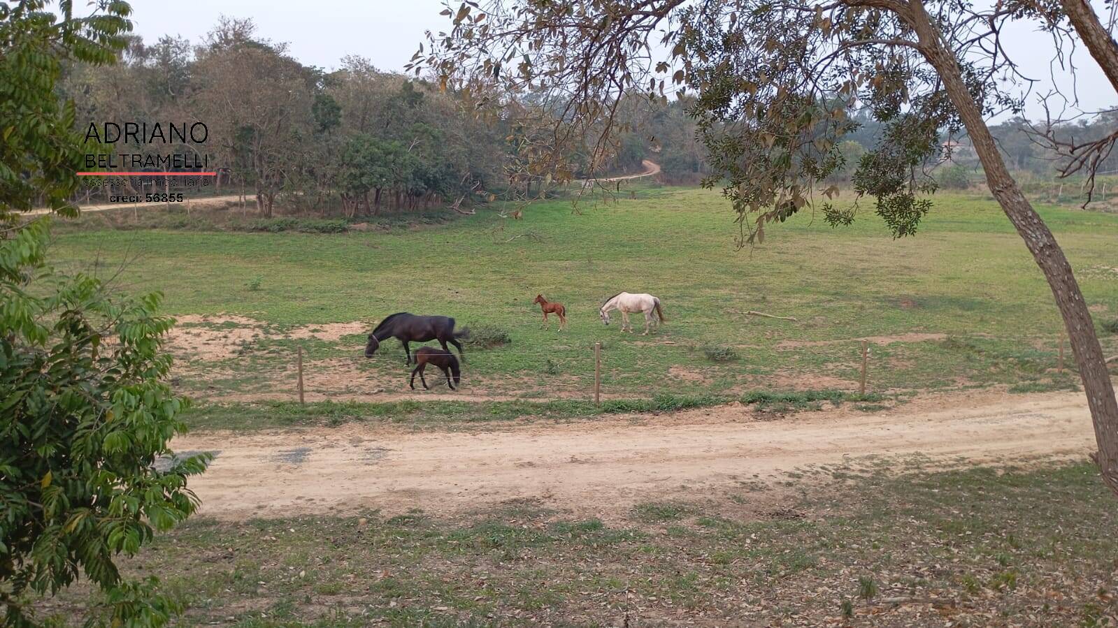 Fazenda à venda com 2 quartos, 65340m² - Foto 6