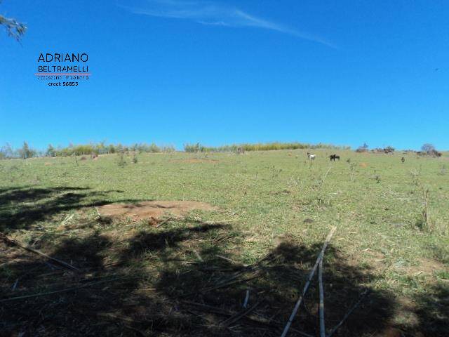 Fazenda à venda com 10 quartos, 2000m² - Foto 31