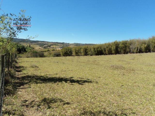 Fazenda à venda com 10 quartos, 2000m² - Foto 14