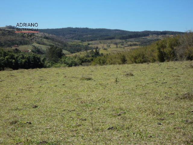 Fazenda à venda com 10 quartos, 2000m² - Foto 15