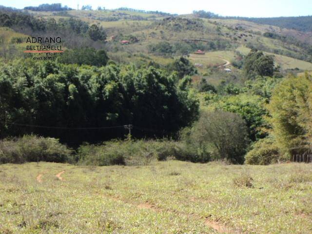 Fazenda à venda com 10 quartos, 2000m² - Foto 16