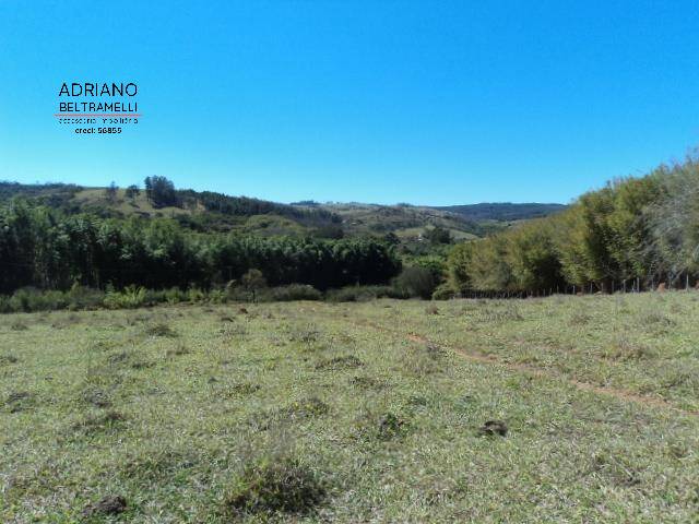 Fazenda à venda com 10 quartos, 2000m² - Foto 17