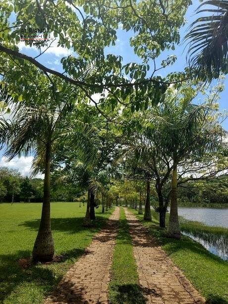 Fazenda à venda com 3 quartos, 84250m² - Foto 55