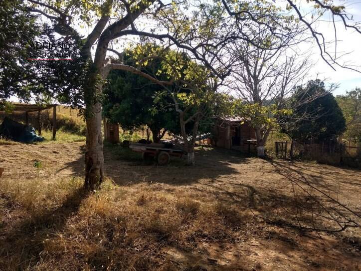 Fazenda à venda com 3 quartos, 114000m² - Foto 6