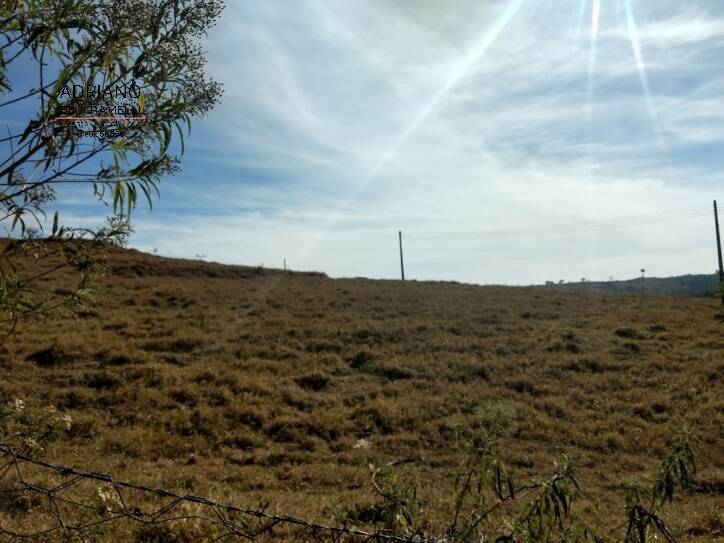 Fazenda à venda com 3 quartos, 114000m² - Foto 9