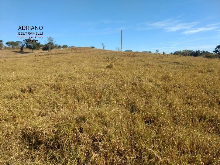 Fazenda à venda com 3 quartos, 114000m² - Foto 12