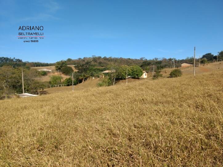 Fazenda à venda com 3 quartos, 114000m² - Foto 13