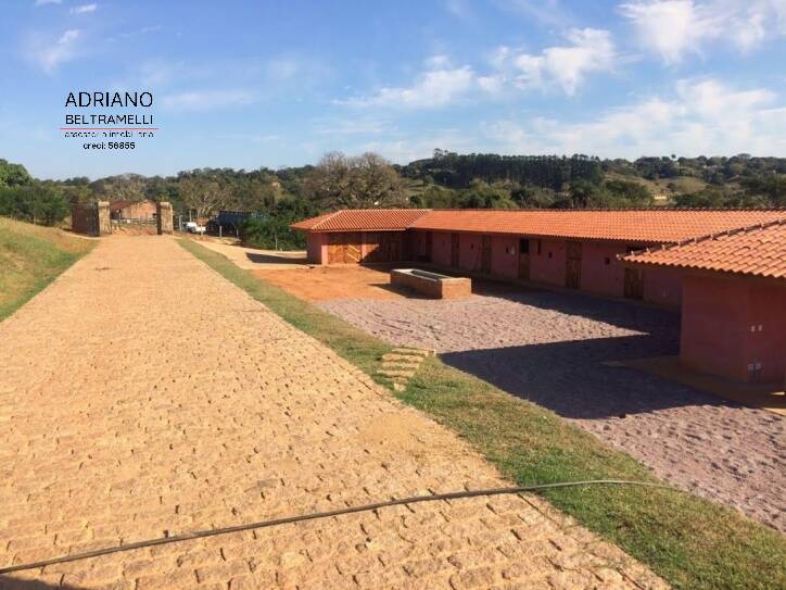 Fazenda à venda com 4 quartos, 55000m² - Foto 7